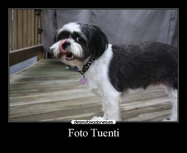 Foto Tuenti -