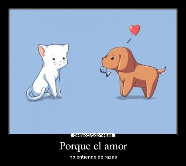 Porque el amor - 