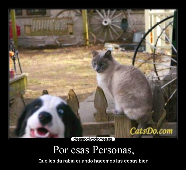 Por esas Personas, - Que les da rabia cuando hacemos las cosas bien