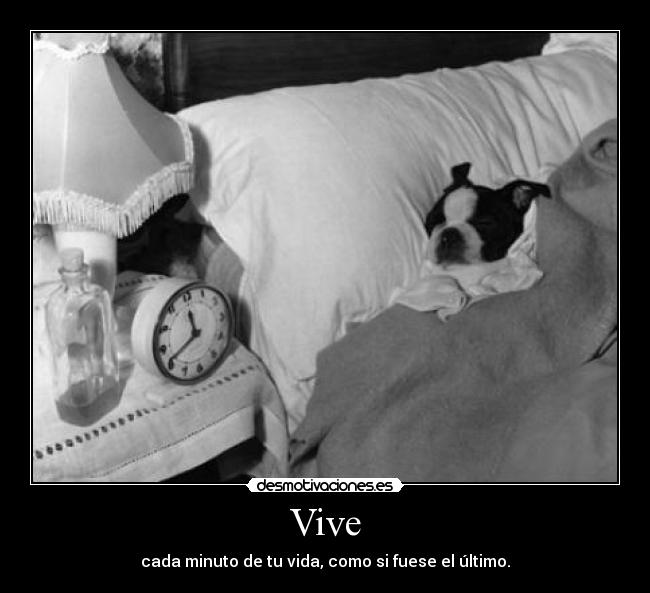 Vive - cada minuto de tu vida, como si fuese el último.