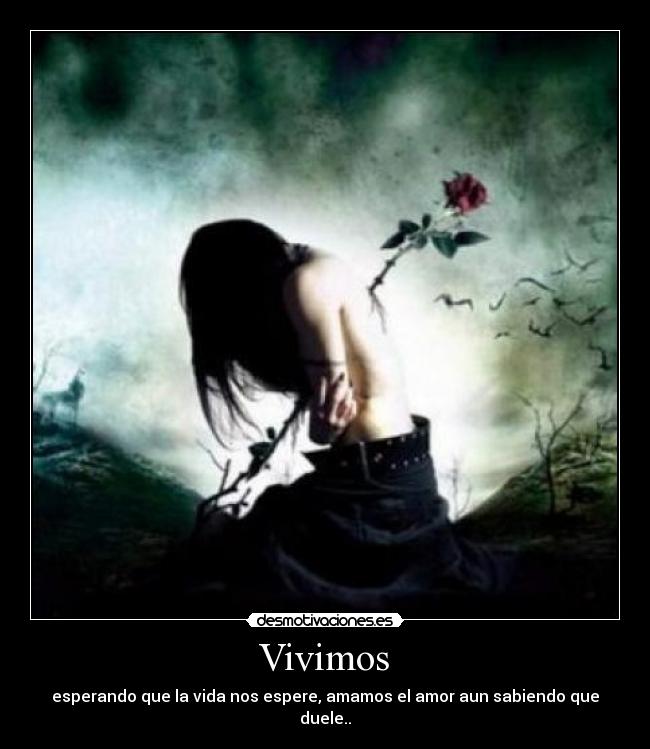 Vivimos -