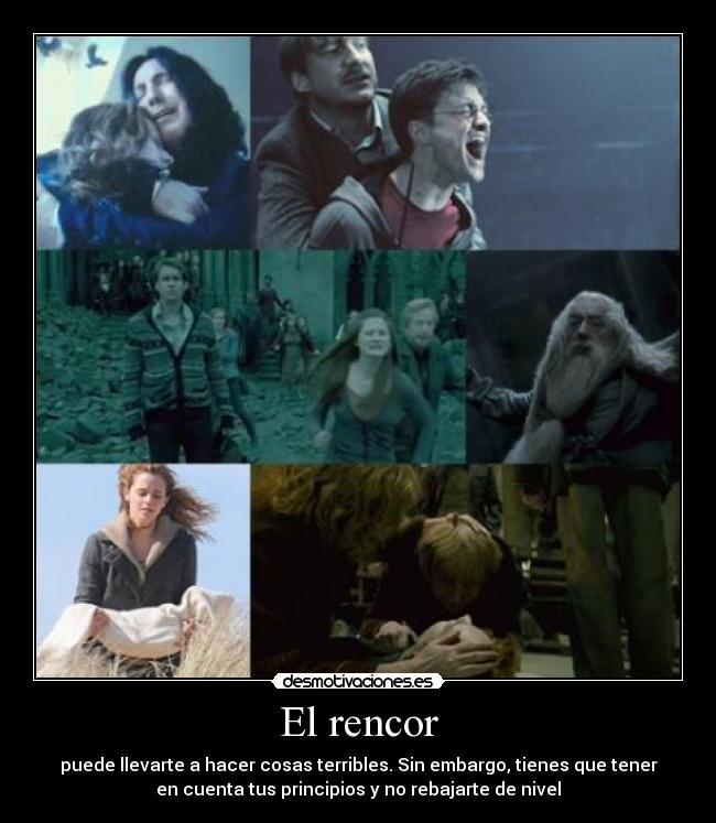 carteles rencor terrible nivel harry potter ron hermione fred dumbledore ginny lupin desmotivaciones