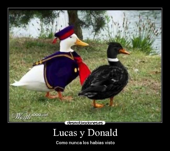 carteles lucas donald desmotivaciones