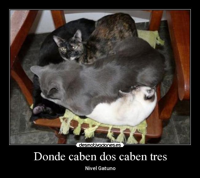 Donde caben dos caben tres -