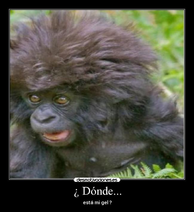 ¿ Dónde... - 
