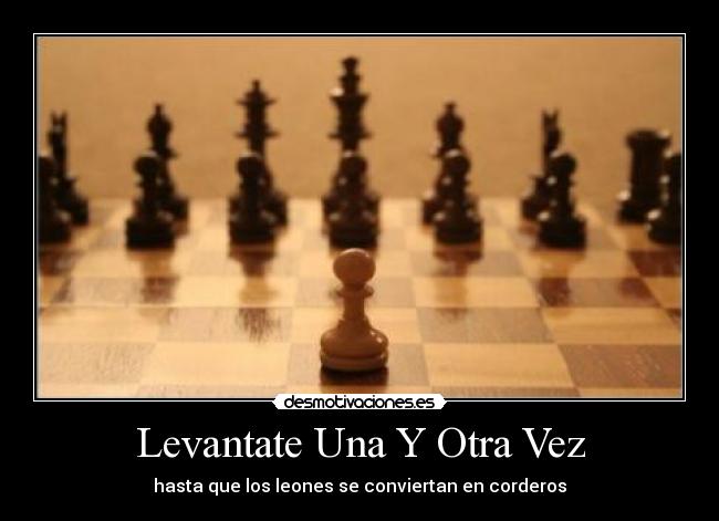 carteles sin rendicion desmotivaciones