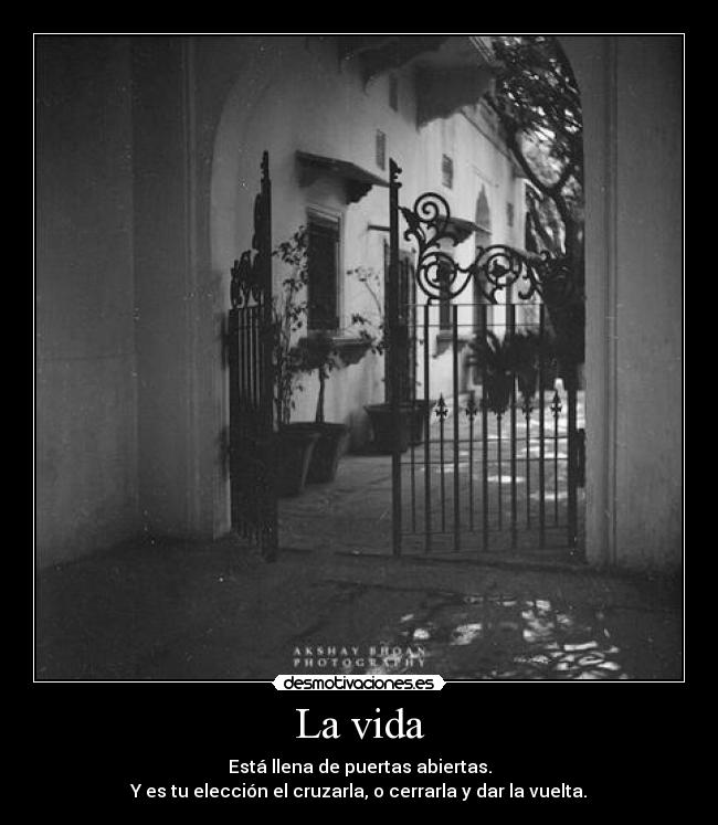 La vida - 