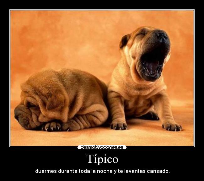Típico - duermes durante toda la noche y te levantas cansado.