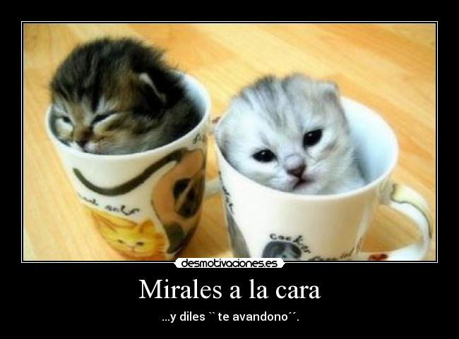 Mirales a la cara - ...y diles `` te avandono´´.