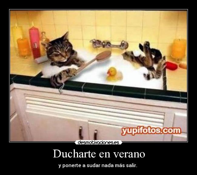 Ducharte en verano - 