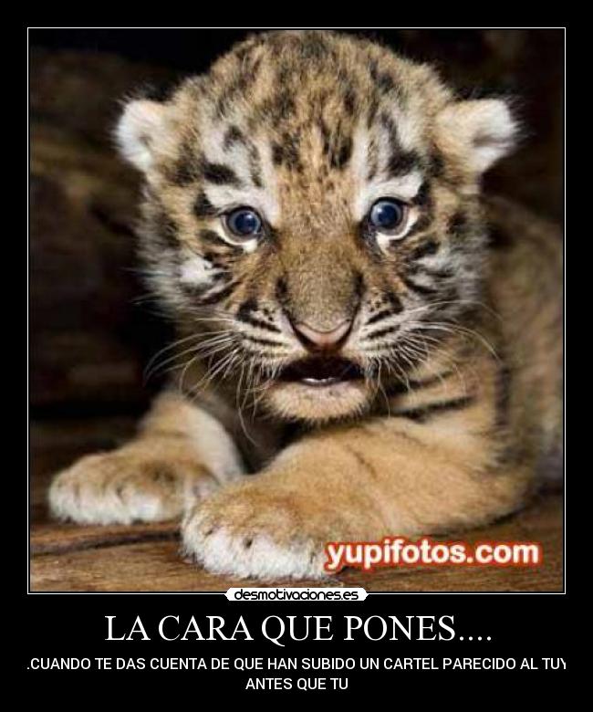 carteles miguel187 desmotivaciones
