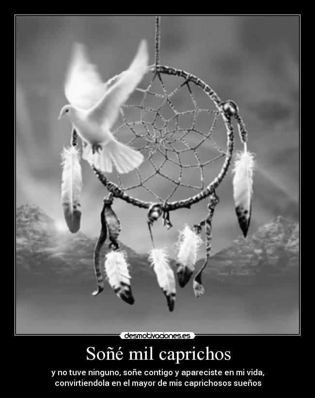 carteles sone mil caprichos desmotivaciones