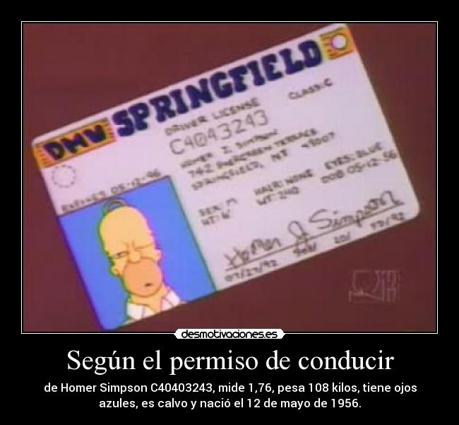 Según el permiso de conducir - de Homer Simpson C40403243, mide 1,76, pesa 108 kilos, tiene ojos
azules, es calvo y nació el 12 de mayo de 1956.