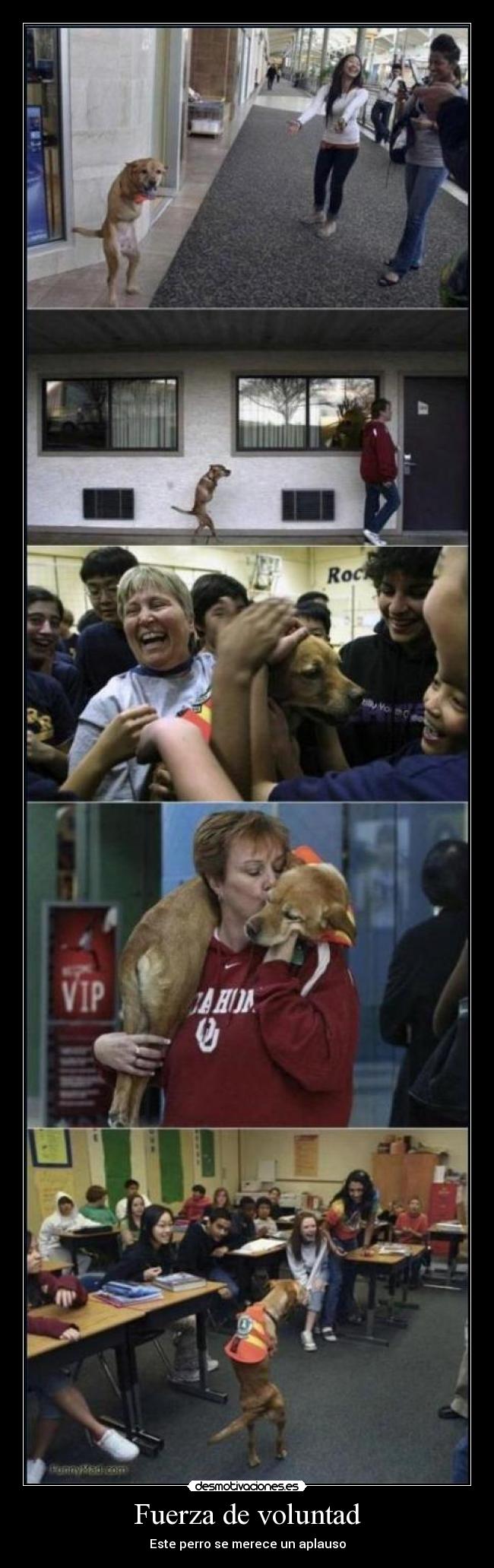 Fuerza de voluntad -