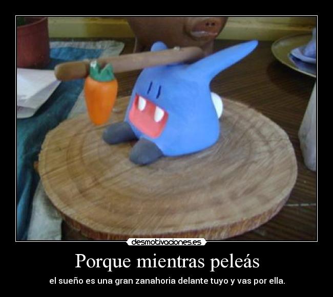 Porque mientras peleás - el sueño es una gran zanahoria delante tuyo y vas por ella.