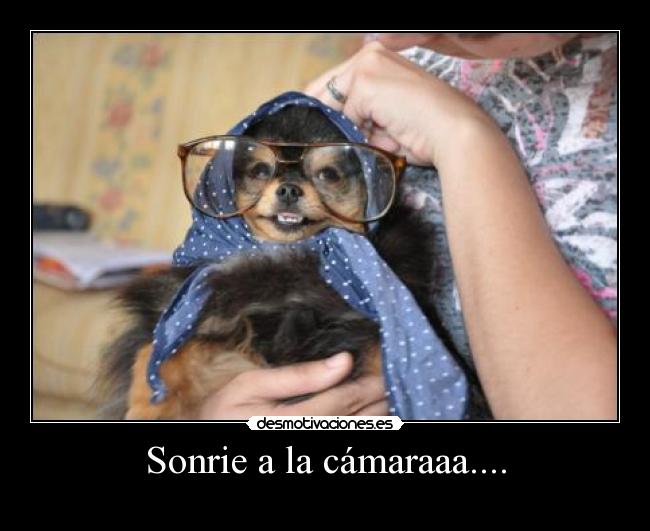 Sonrie a la cámaraaa.... - 