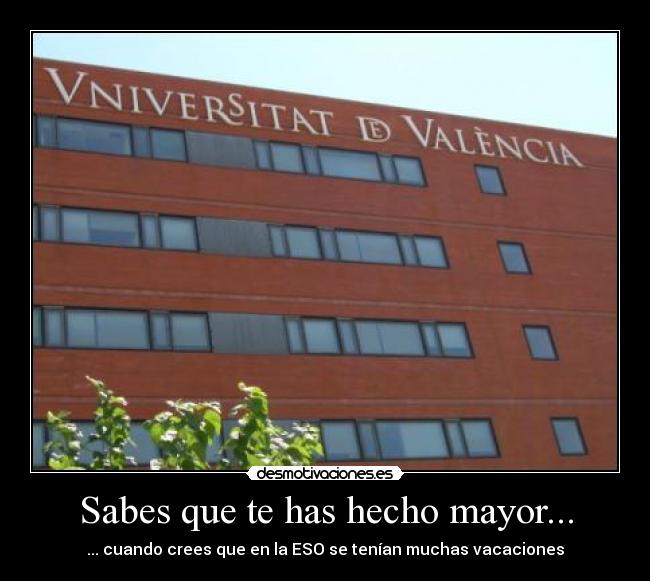 Sabes que te has hecho mayor... -