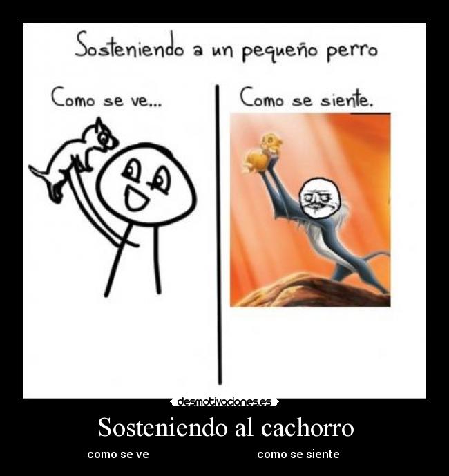 Sosteniendo al cachorro - como se ve como se siente