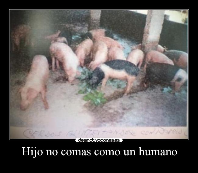 Hijo no comas como un humano - 