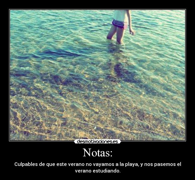 Notas: - Culpables de que este verano no vayamos a la playa, y nos pasemos el
verano estudiando.