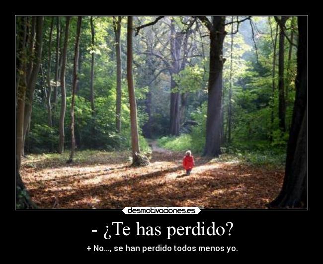 - ¿Te has perdido? -