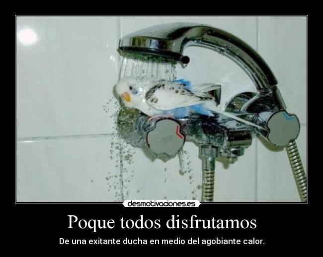 Poque todos disfrutamos - De una exitante ducha en medio del agobiante calor.