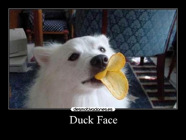 Duck Face -
