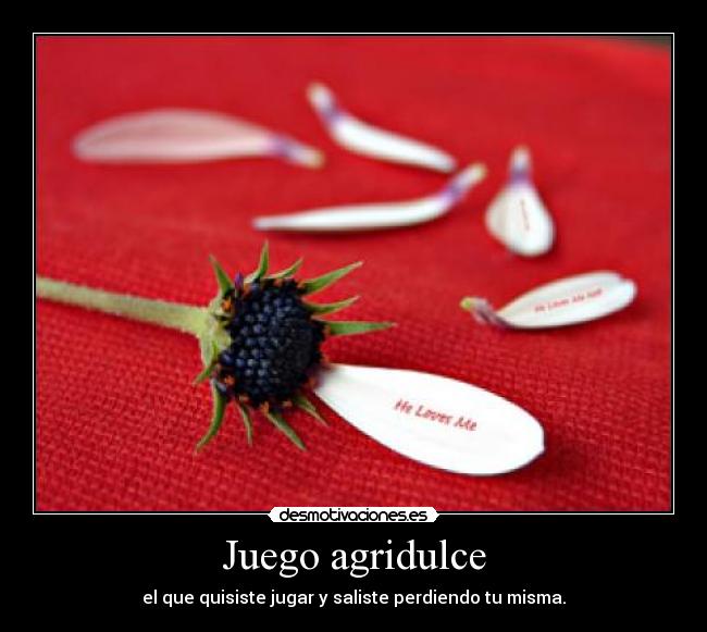 carteles seyf desmotivaciones