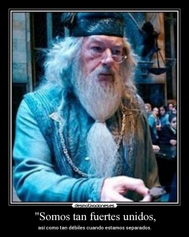 carteles albus dumbledore desmotivaciones