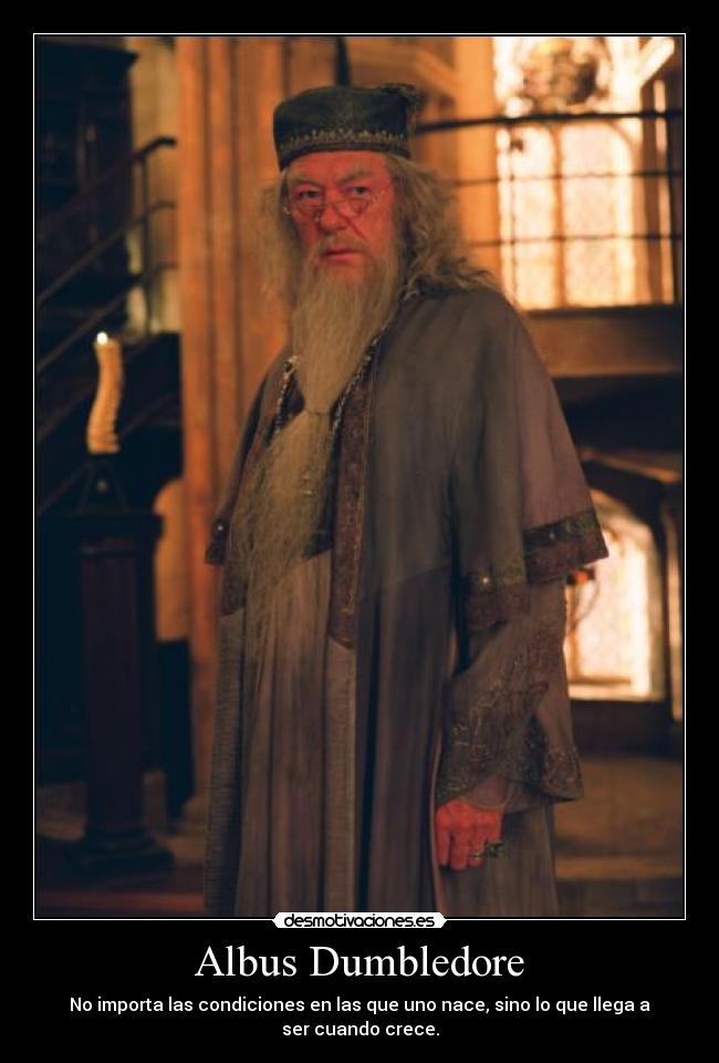 carteles dumbledore desmotivaciones
