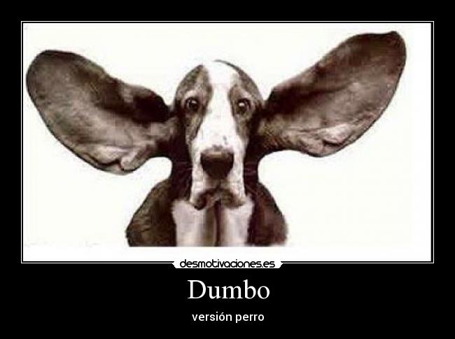 Dumbo - versión perro