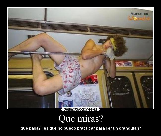 Que miras? - que pasa?.. es que no puedo practicar para ser un orangutan?