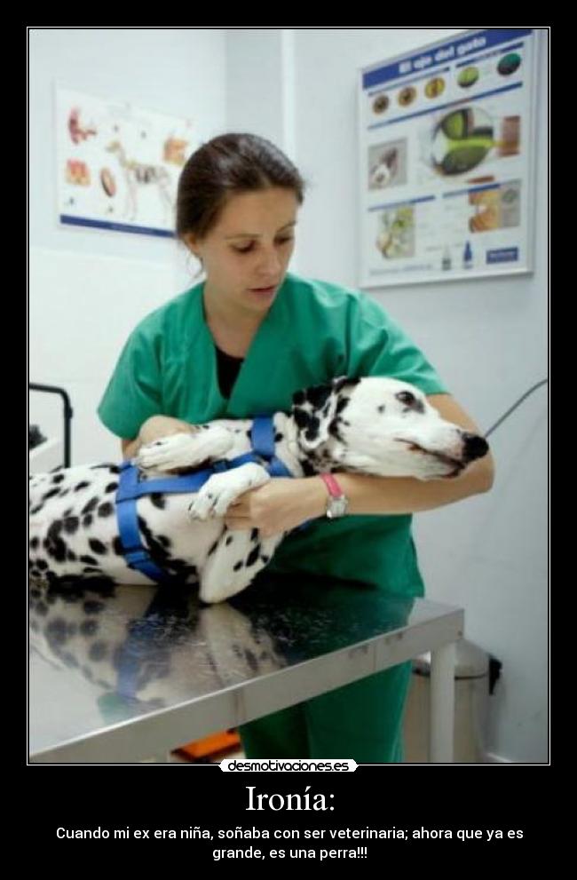 Ironía: - Cuando mi ex era niña, soñaba con ser veterinaria; ahora que ya es
grande, es una perra!!!