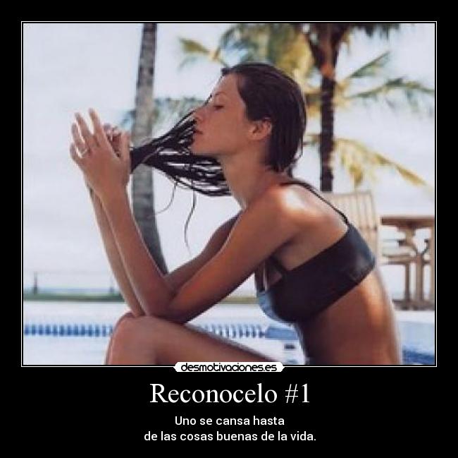 Reconocelo #1 -