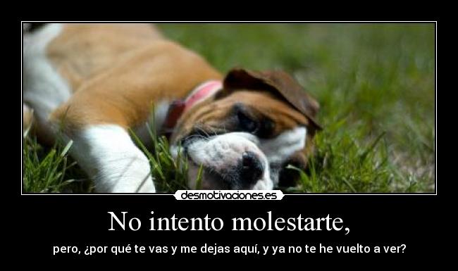 No intento molestarte, -