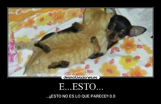 E...ESTO... -