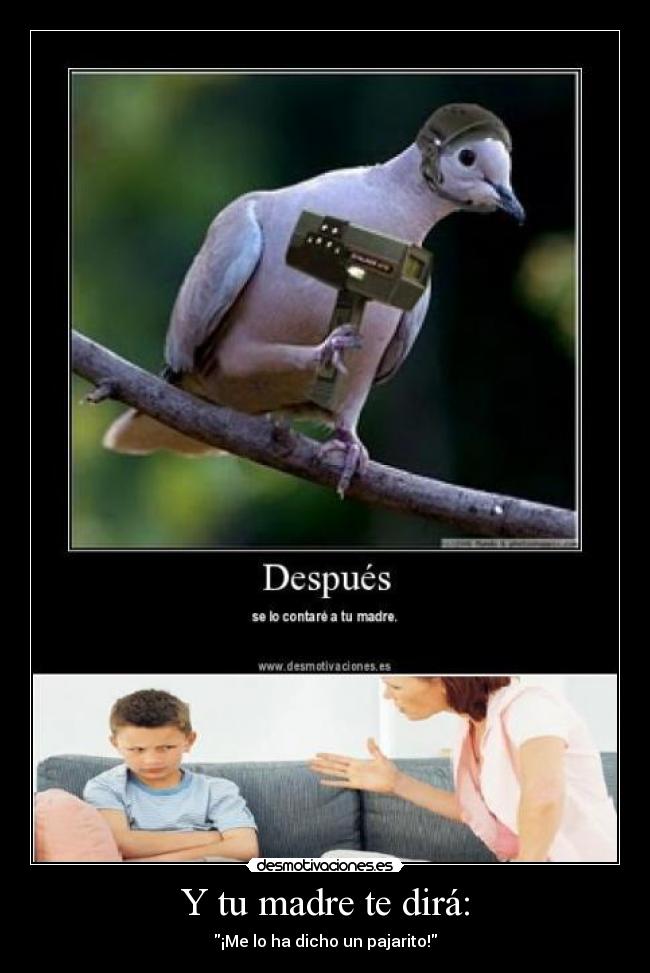 Y tu madre te dirá: - ¡Me lo ha dicho un pajarito!