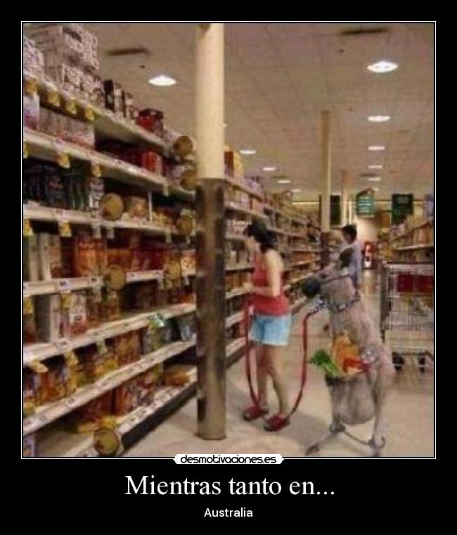 Mientras tanto en... - 