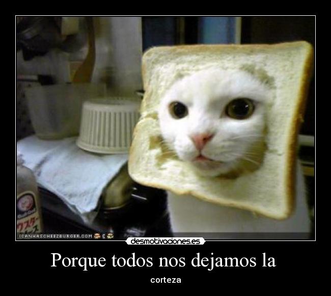 Porque todos nos dejamos la - corteza