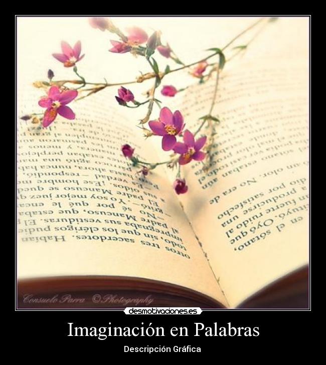 Imaginación en Palabras -