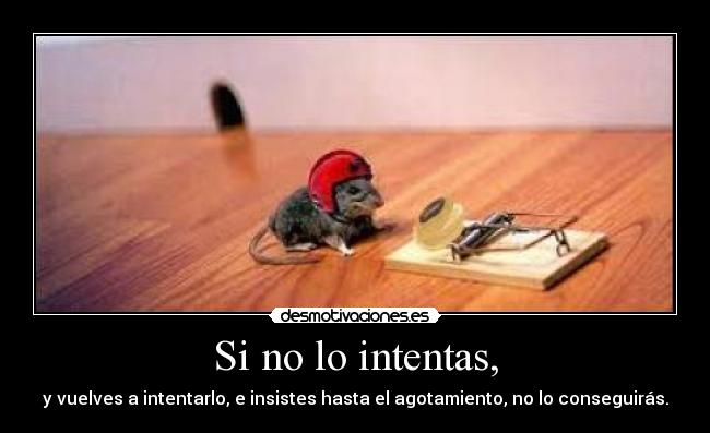 Si no lo intentas, - y vuelves a intentarlo, e insistes hasta el agotamiento, no lo conseguirás.