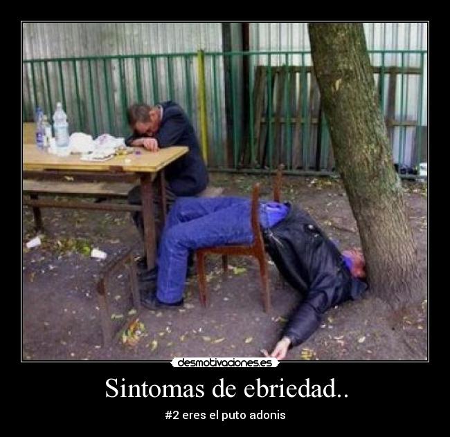 Sintomas de ebriedad.. - #2 eres el puto adonis