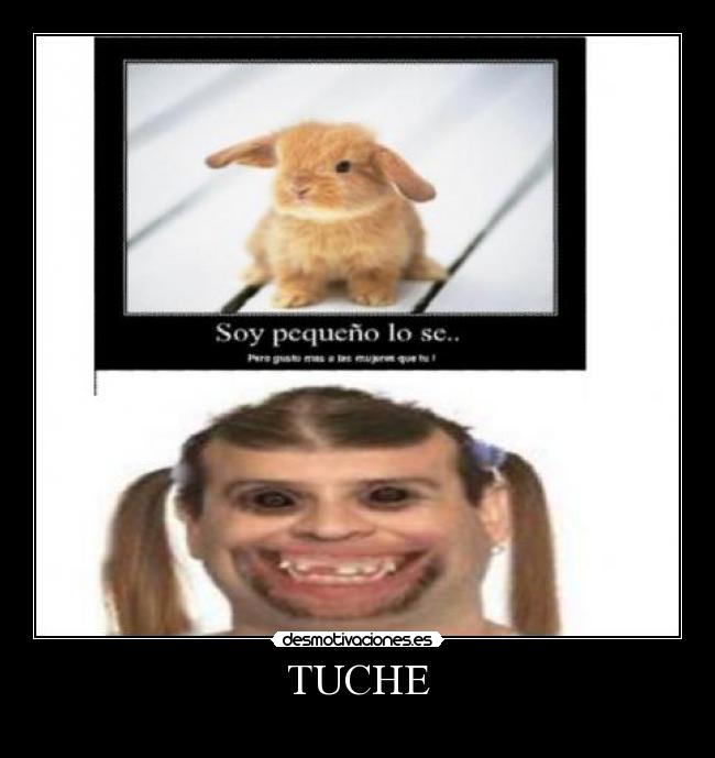 TUCHE -