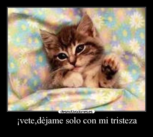 ¡vete,dèjame solo con mi tristeza - 