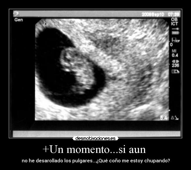 carteles los pulgares desmotivaciones