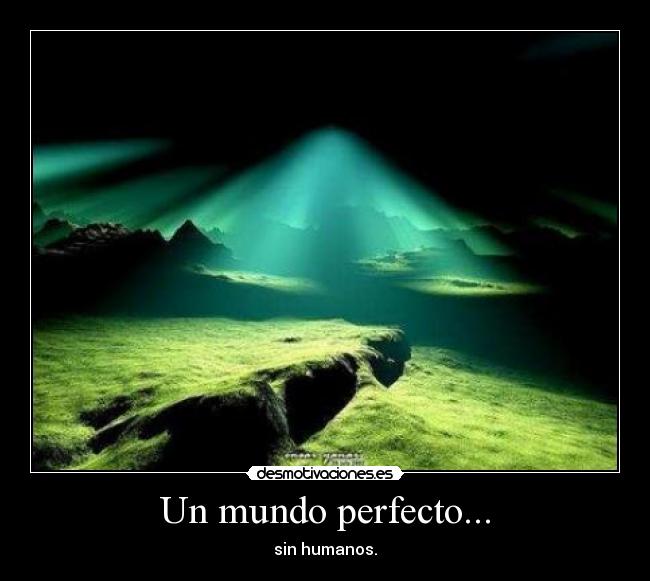 Un mundo perfecto... - 