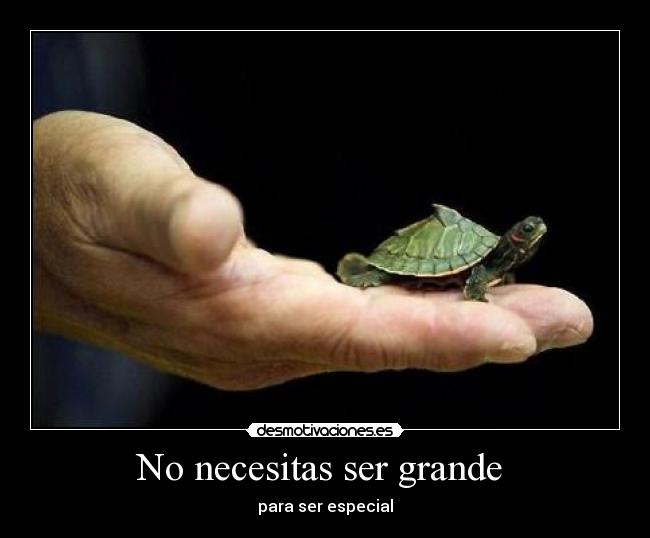 No necesitas ser grande - para ser especial