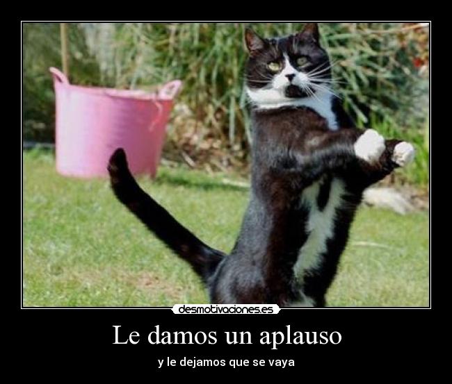 carteles gatosconductor desmotivaciones