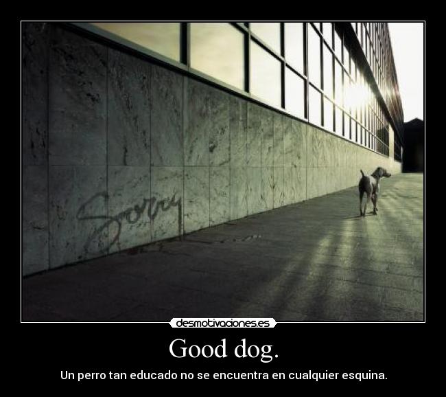 Good dog. - Un perro tan educado no se encuentra en cualquier esquina.