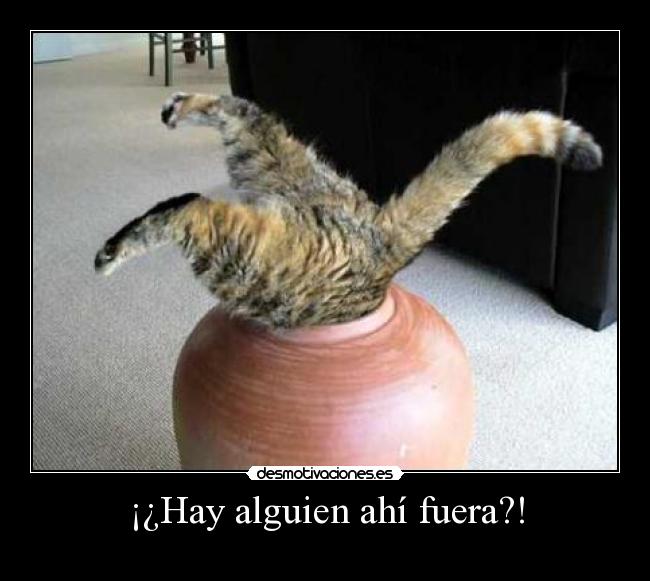 ¡¿Hay alguien ahí fuera?! -